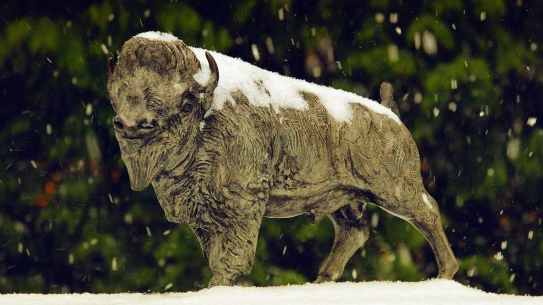 Bronze sculpture of a buffalo which has snow round its feet and on its back