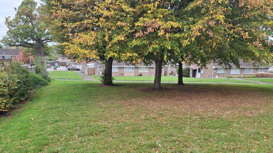 An open green space at Bevisland in Eldene. There are three big trees next to a path. Some houses can be seen behind the trees.