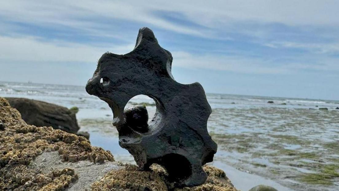 A low tide has revealed a colony of barnacles covering rocks. In the centre of the shot is a stone shape with a hole in the middle in which sits a mollusc hiding waiting for the tide to return. Behind the rocks is the wet sand covered by seaweed with the sea in the far distance with a hint of a breaking wave.