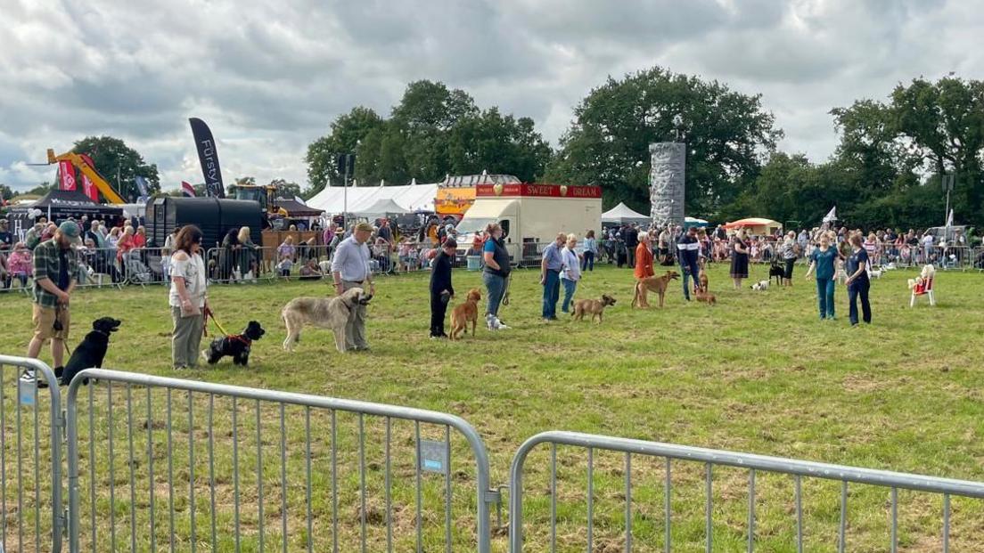 Nine people line up on a showground area, each holding a dog by their lead. Two women in veterinary uniform stand in front of the line of dogs and people. The area is penned off with metal railings. crowds of people are watching by the railings. In the background there is a climbing wall, food vendors and marquees.