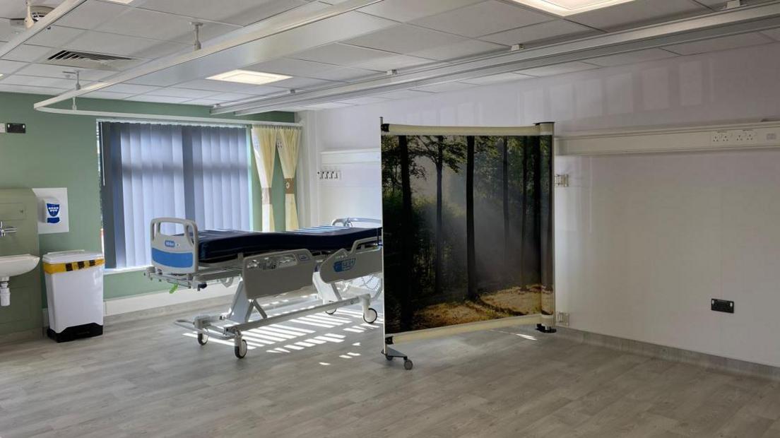 Inside the ward. There is a hospital bed next to a screen with a picture of tall trees on it. The wall is light green