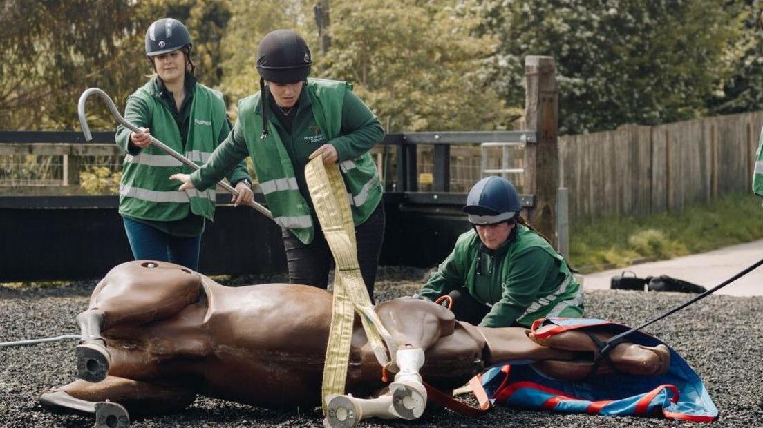 The Mare and Foal Sanctuary staff training with Max the mannequin horse