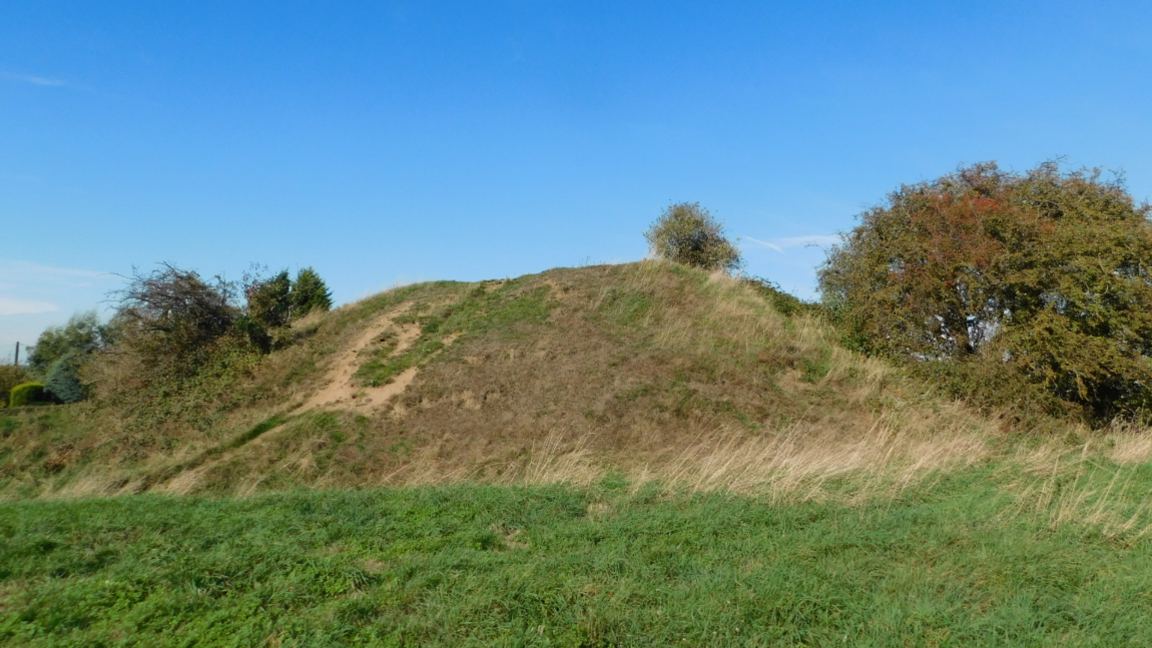 A grassy mound with some trees and bushes next to it