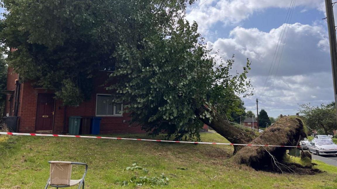 A large tree uprooted and fallen on to a property on Ribble Drive in Bury