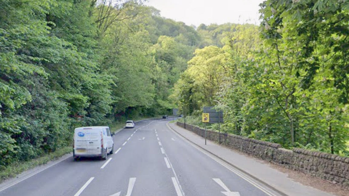 A busy tree-lined road with cars travelling on the left