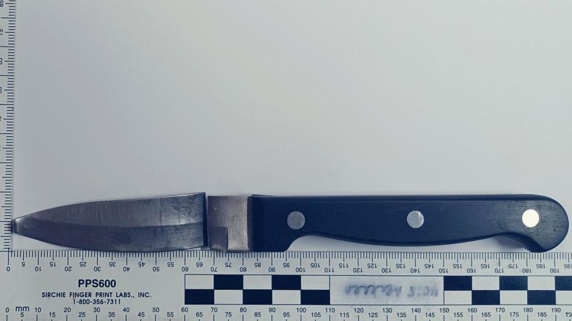 A black handled kitchen knife, the blade has been snapped away from the hilt but is placed above oit. Below is a ruler measuring the blade and handle to be 195cm long