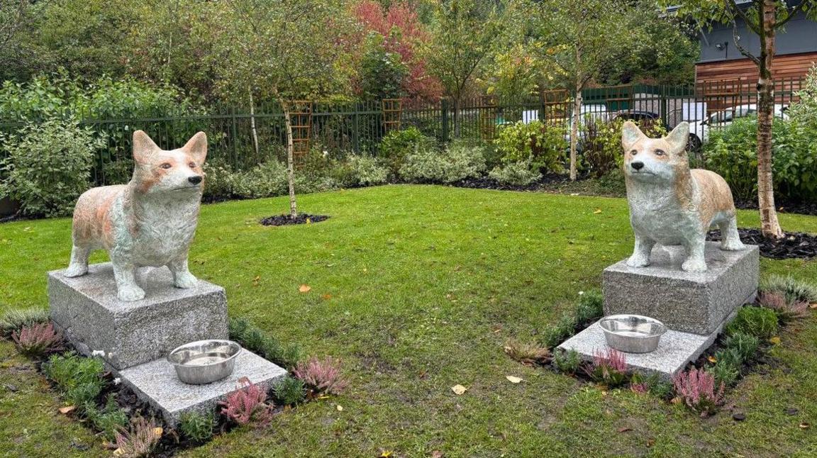 Two corgi sculptures sit atop plinths with dog water bowls at the bottom, the plinths are surrounded by plants. They are in a grassy area with some small trees and shrubs sitting in front of a metal fence in the background