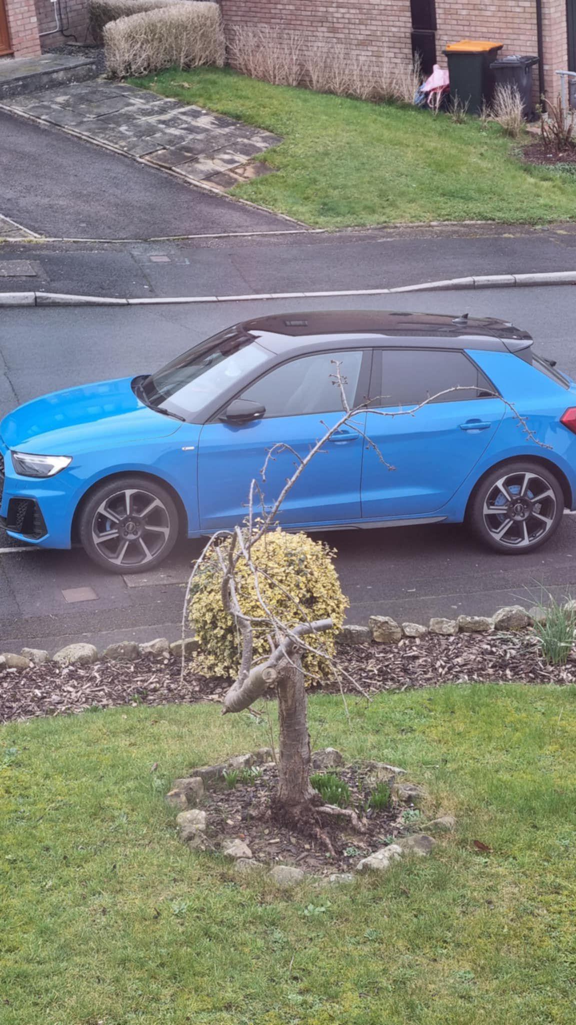 A blue Audi car with a black roof. The photo is taken side on to the car.
The car is parked on the pavement with a grass garden in the foreground.