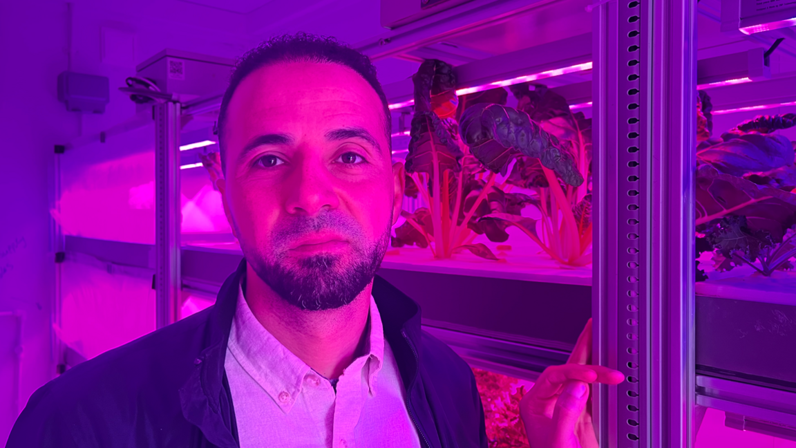 Researcher with vegetables in vertical farm