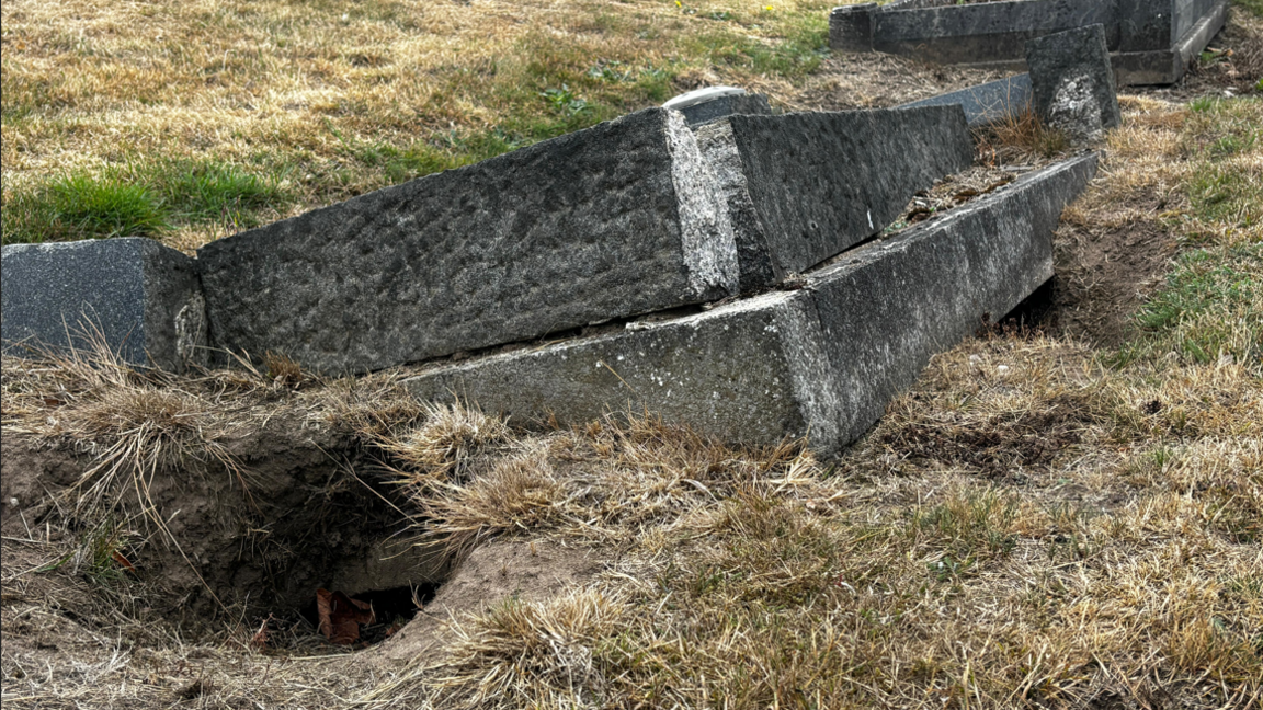 Suspected badger hole going underneath an old grave