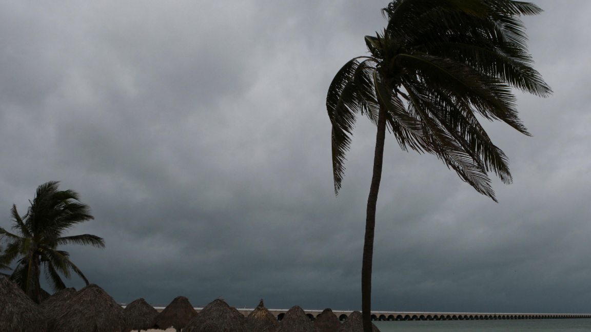 Clouds are seen over the beach as Hurricane Milton advances, in Progreso, Mexico. The sky is dark grey and there are two palm trees swayed by the wind and straw beach huts. 