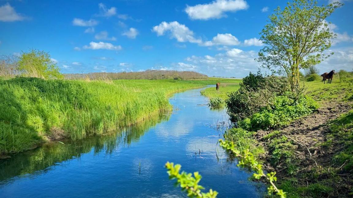 Faversham creeks