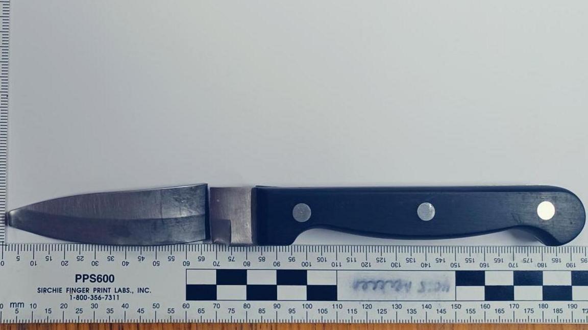 A black handled kitchen knife, the blade has been snapped away from the hilt but that pieced is placed above it in the police photograph. Below is a ruler measuring the blade and handle to be 195cm long