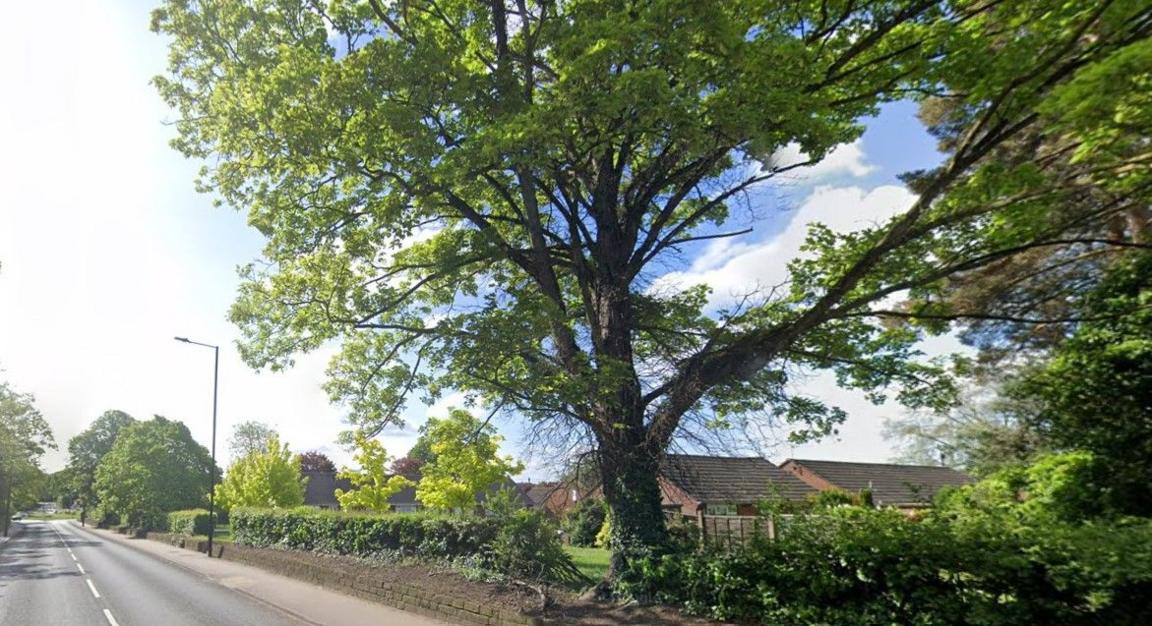 Cantley Lane in Doncaster