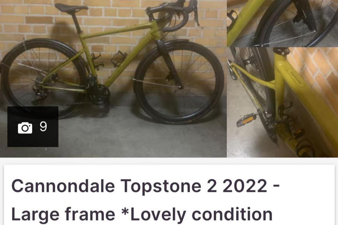 The Gumtree post of Alasdair's bicycle saying it is in "lovely condition" and worth £800.