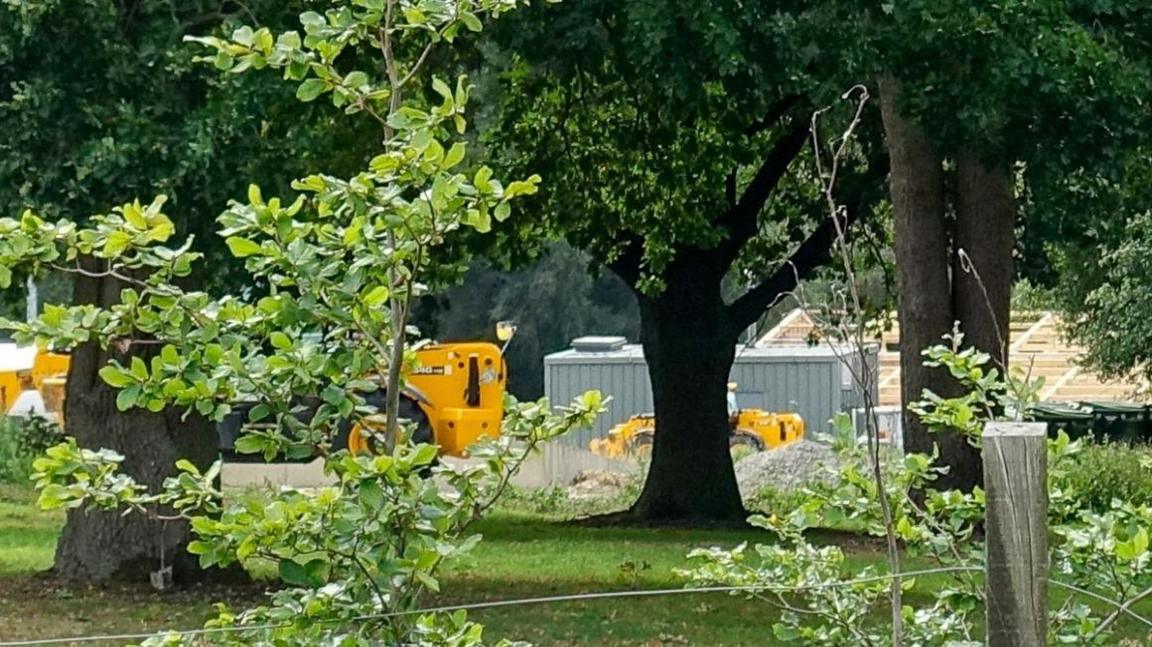 Behind some trees we can see two yellow construction vehicles and a container unit.