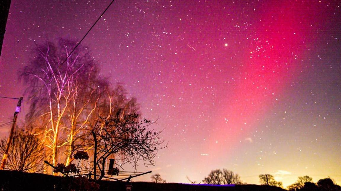 Pink and purple hues in the sky over bare trees with no leaves on their branches. 