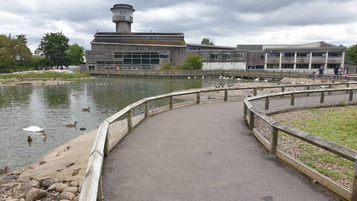 The WWT centre at Slimbridge. There is a curved concrete path in the middle, with wooden fencing on each side. On the left there is a small lake area with several species of birds floating on the water. In the distance there is the large wildlife centre with lots of windows and a viewing tower. 