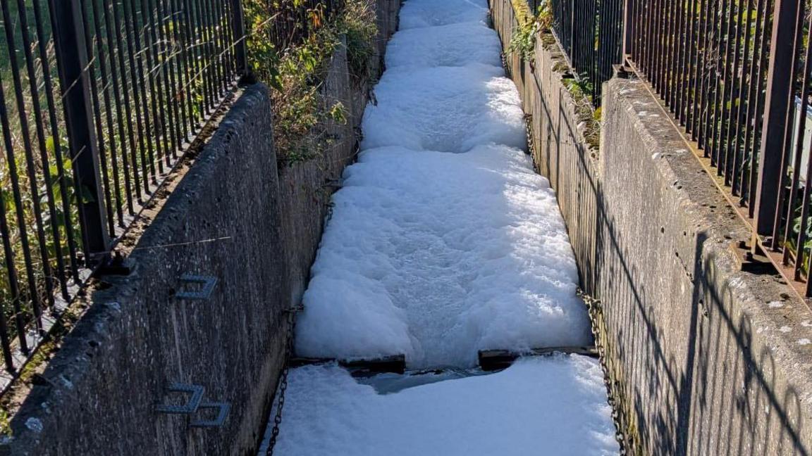 A thick later of bright white foam is flowing over the top of a waterway between two concrete walls.