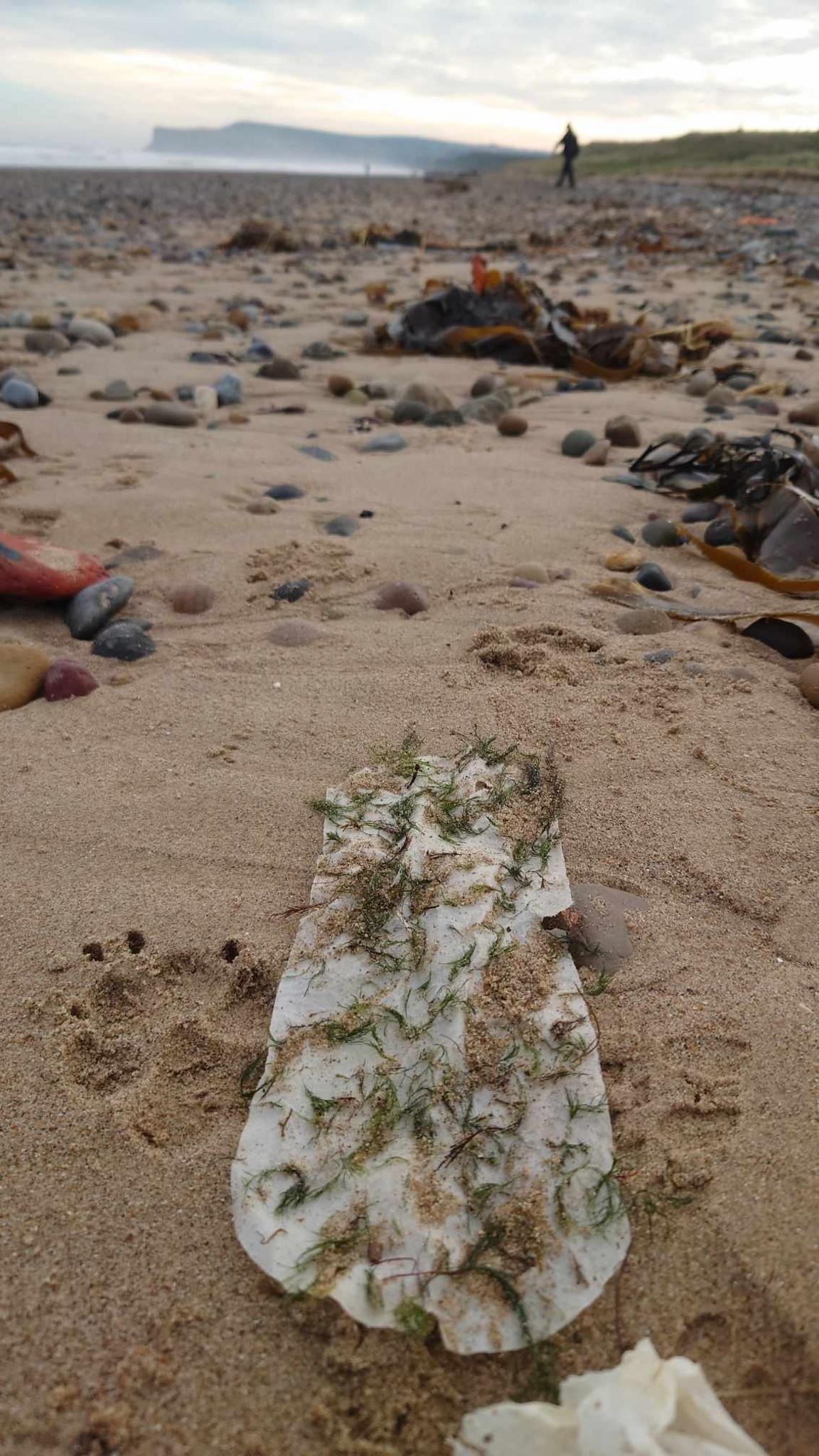 Sanitary towel on the beach