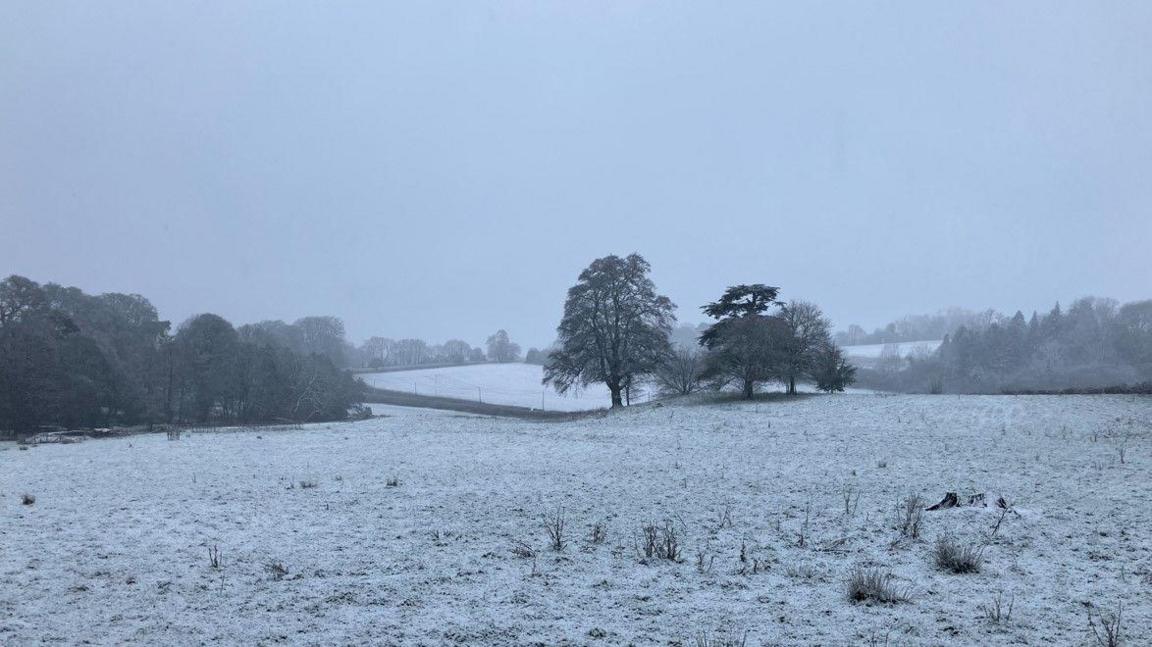 A snowy countryside scene of undulating fields and trees.