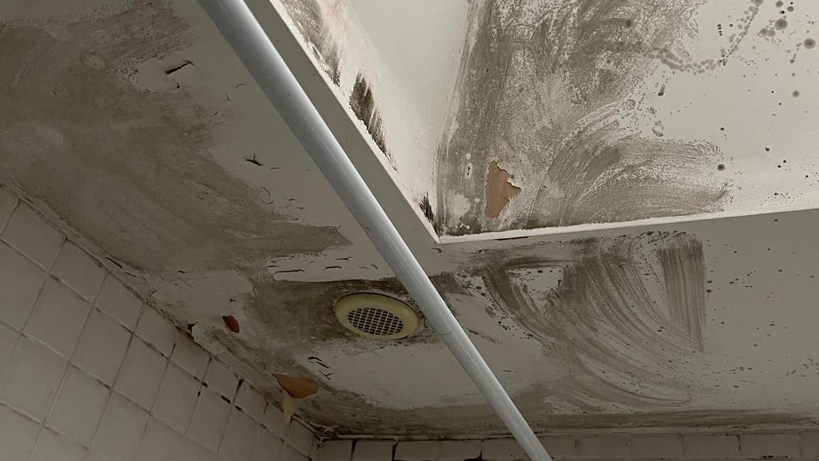 Mould on bathroom ceiling 