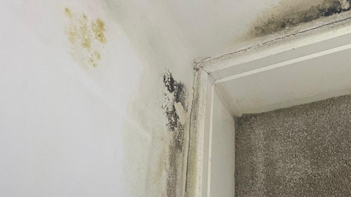 Mould in a flat in Addlestone