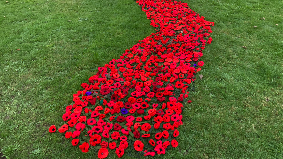 Close up view of red knitted poppies 