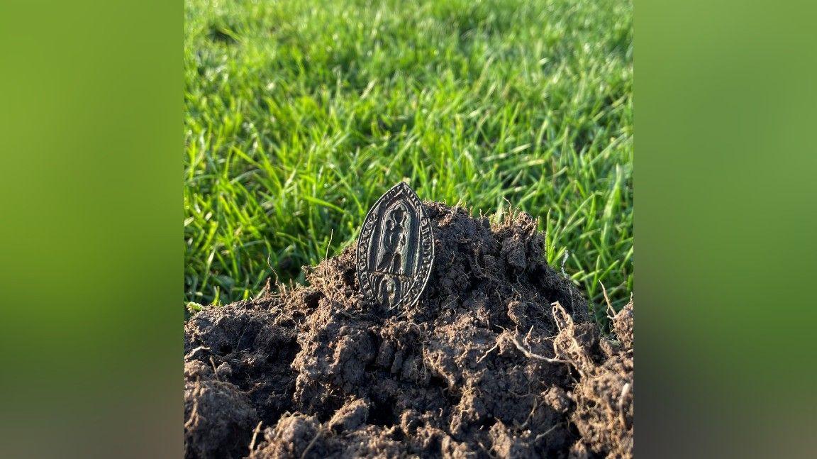 A picture of the medieval wax seal sitting on a rock in a field of grass