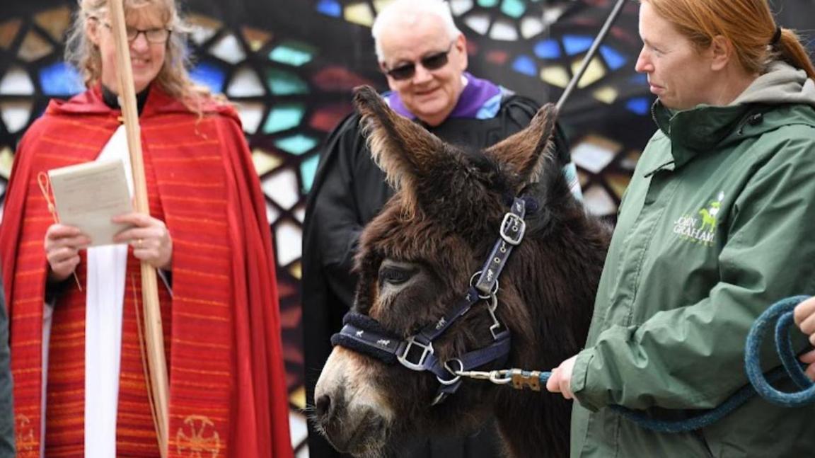 A donkey takes part in a Palm Sunday procession