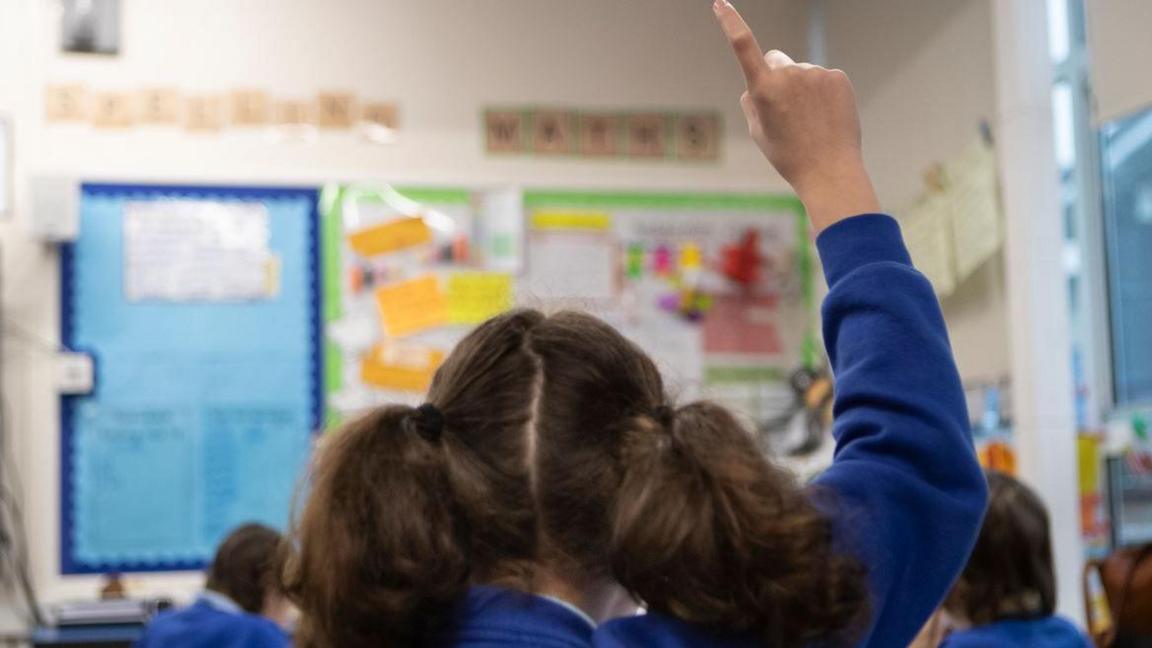 A schoolgirl, photographed from behind, raising her hand in class. The girl is in year 5 and has brown hair in bunches and is wearing a royal blue cardigan. The backs of other children's heads, also wearing royal blue jumpers are cardigans, can be seen as they sit at tables. A colourful display can be seen out focus on the far wall.