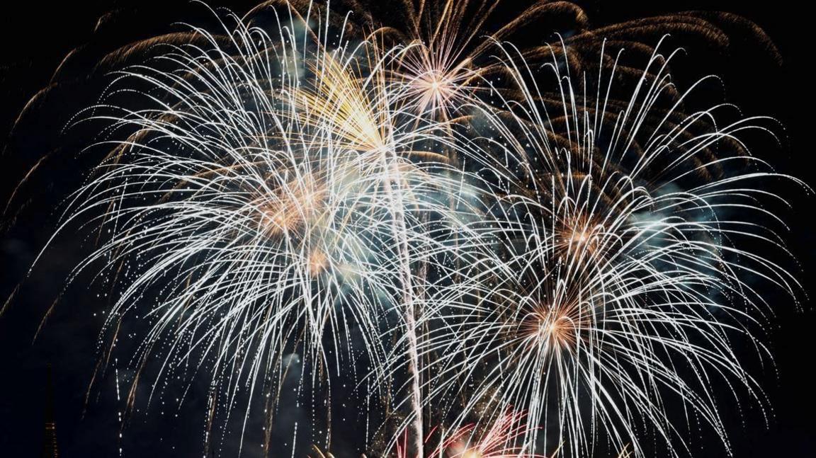 Orange and white fireworks erupting in a night sky.