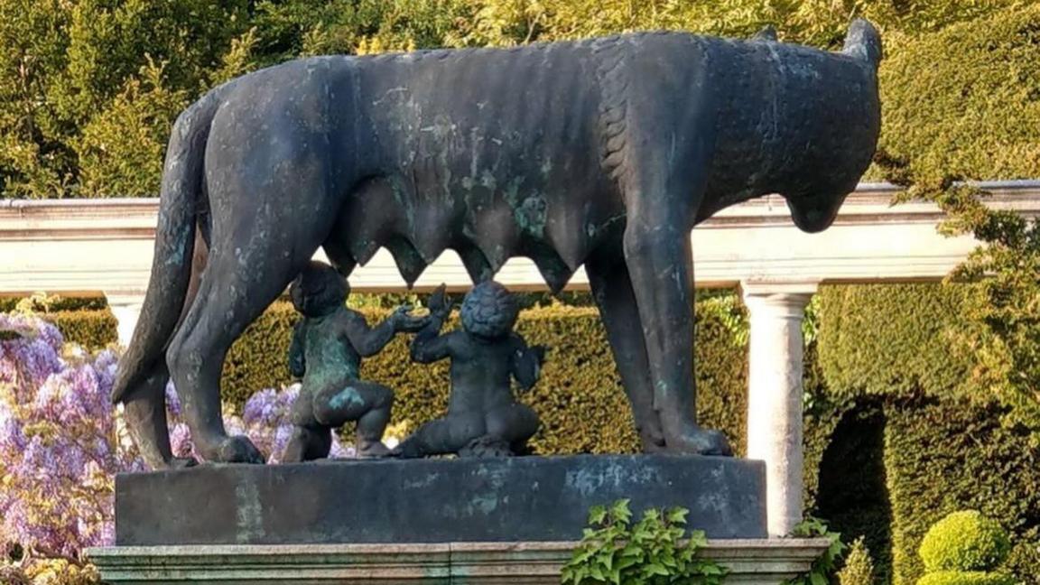 A copy of the Capitoline She Wolf, a statue of a wolf with young children at it's teets. It stands in a lush garden with Wisteria in the background.