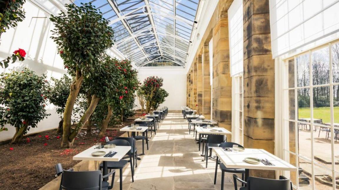 Interior of the camellia house with tea house tables and camellias
