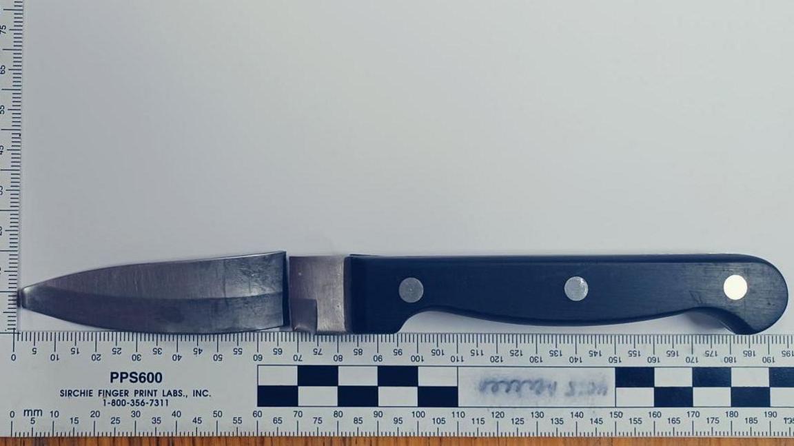 A black handled kitchen knife, the blade has been snapped away from the hilt but is placed above it. Below is a ruler measuring the blade and handle to be 195cm long