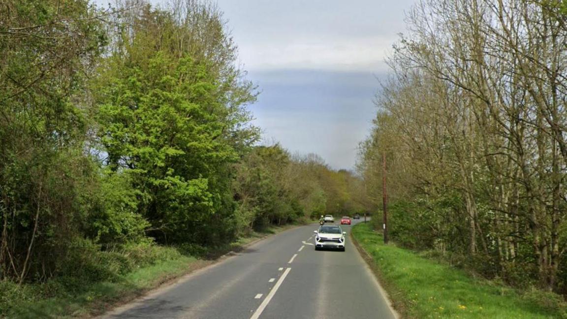 A road with tall trees on either side. There are cars and a motorbike driving on one side of the road.