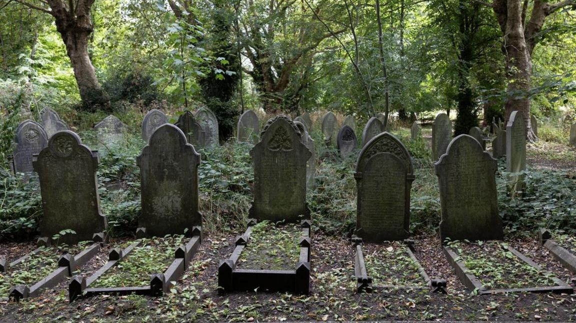 picture of graves in line in one of the cemeteries