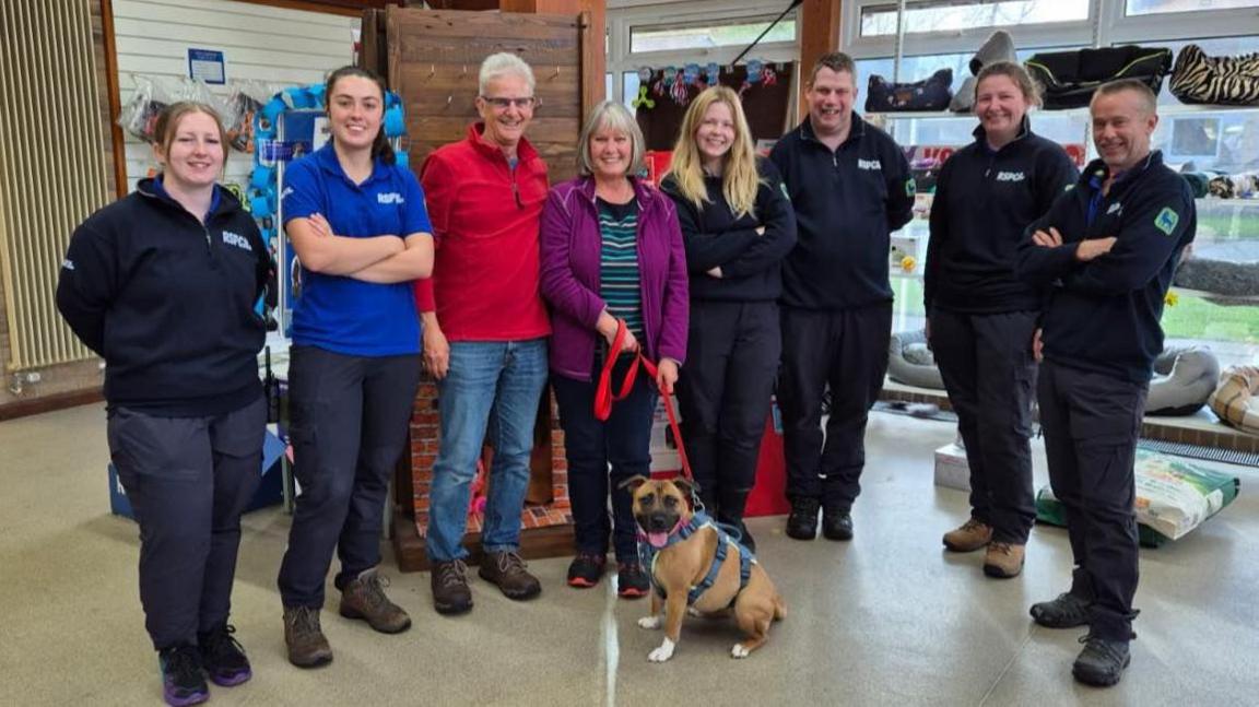 Honey a small brown dog with white paws. She has a red lead and is surrounded by her new owners and the RSPCA team.