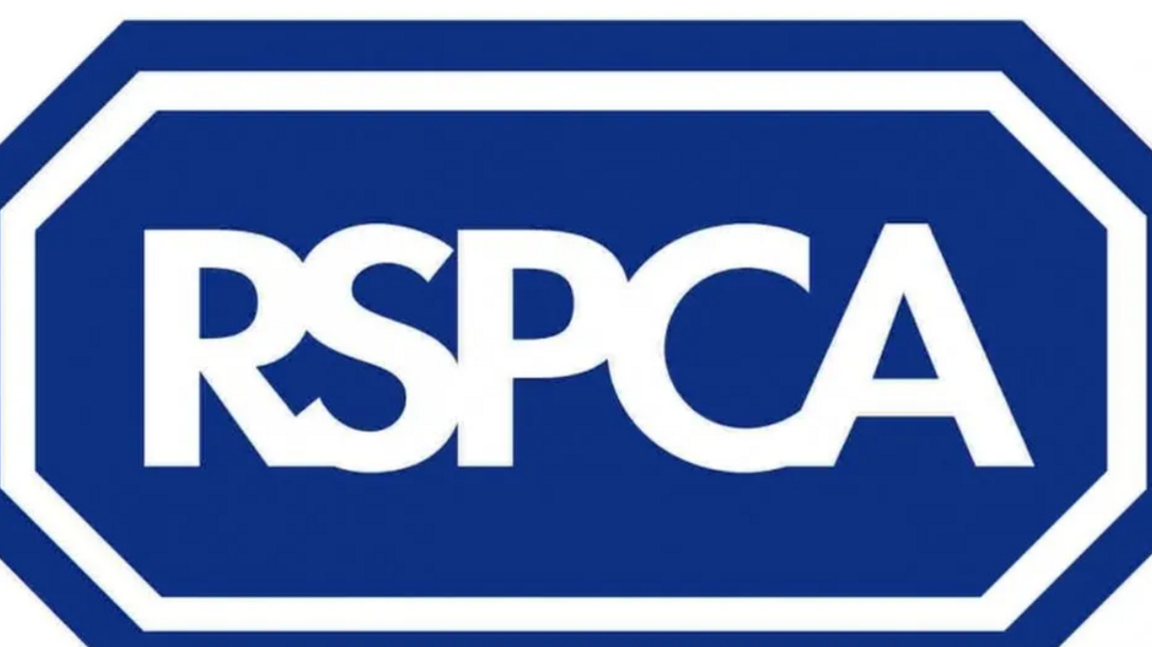 Blue and white logo which reads RSPCA