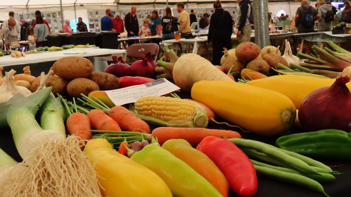 Large vegetables of multiple varieties laid out on a table inside a marquee at Guernsey's North Show.