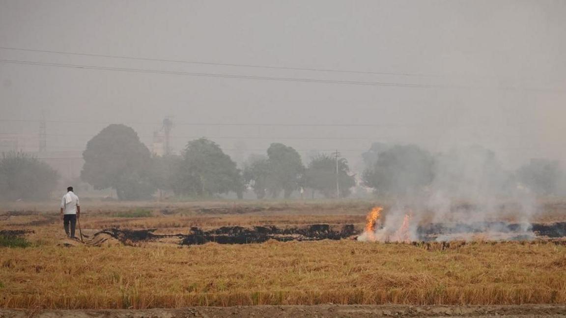 A farmer walks next to burning stubble in a rice field at a village in Karnal, Haryana 