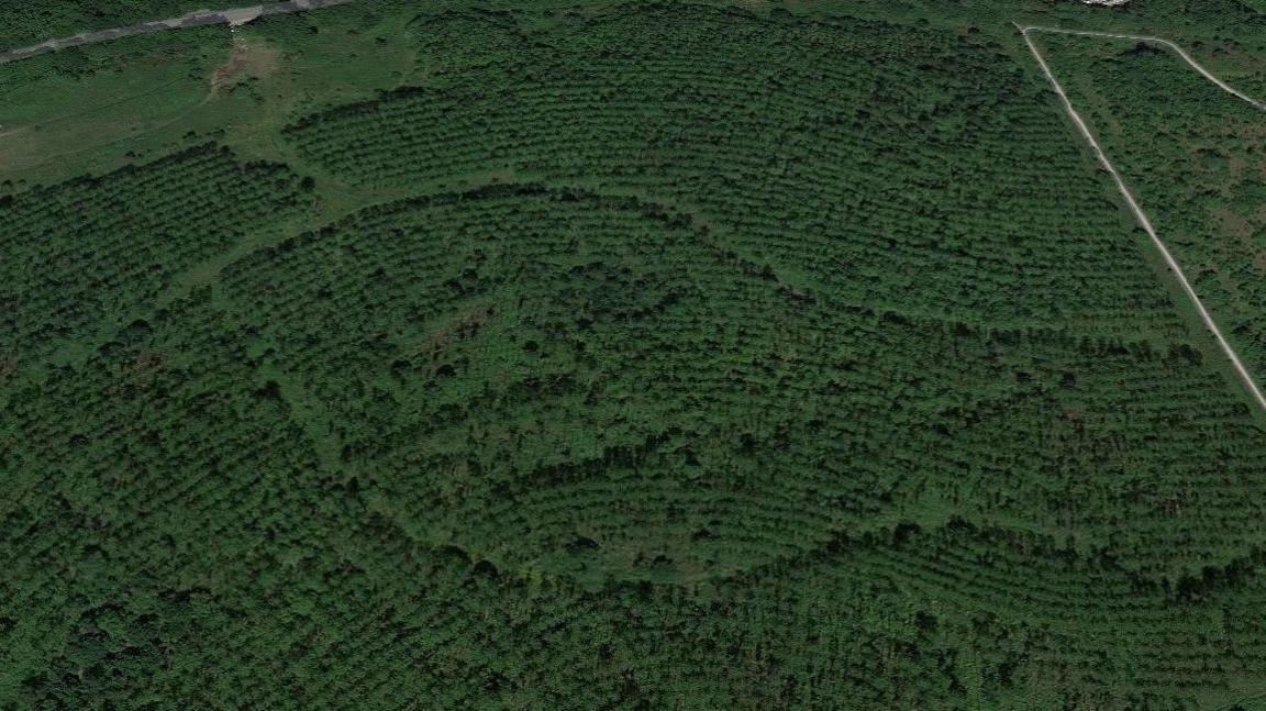 A birds eye view of woodland in Overseal