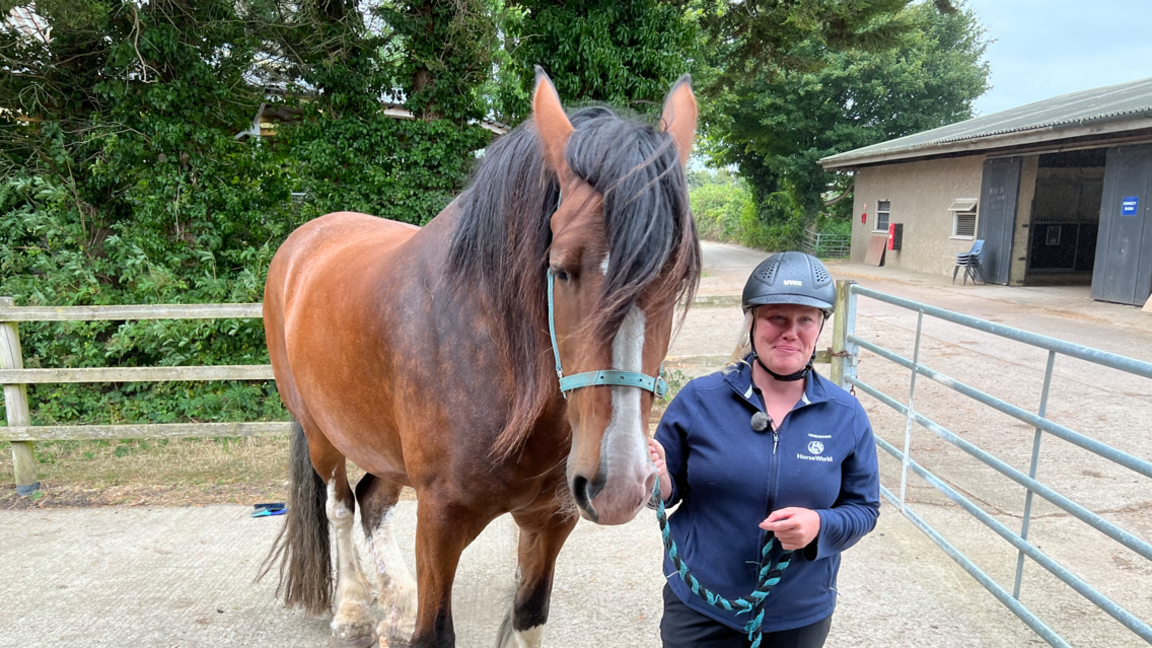 Sarah Hollister standing next to a horse