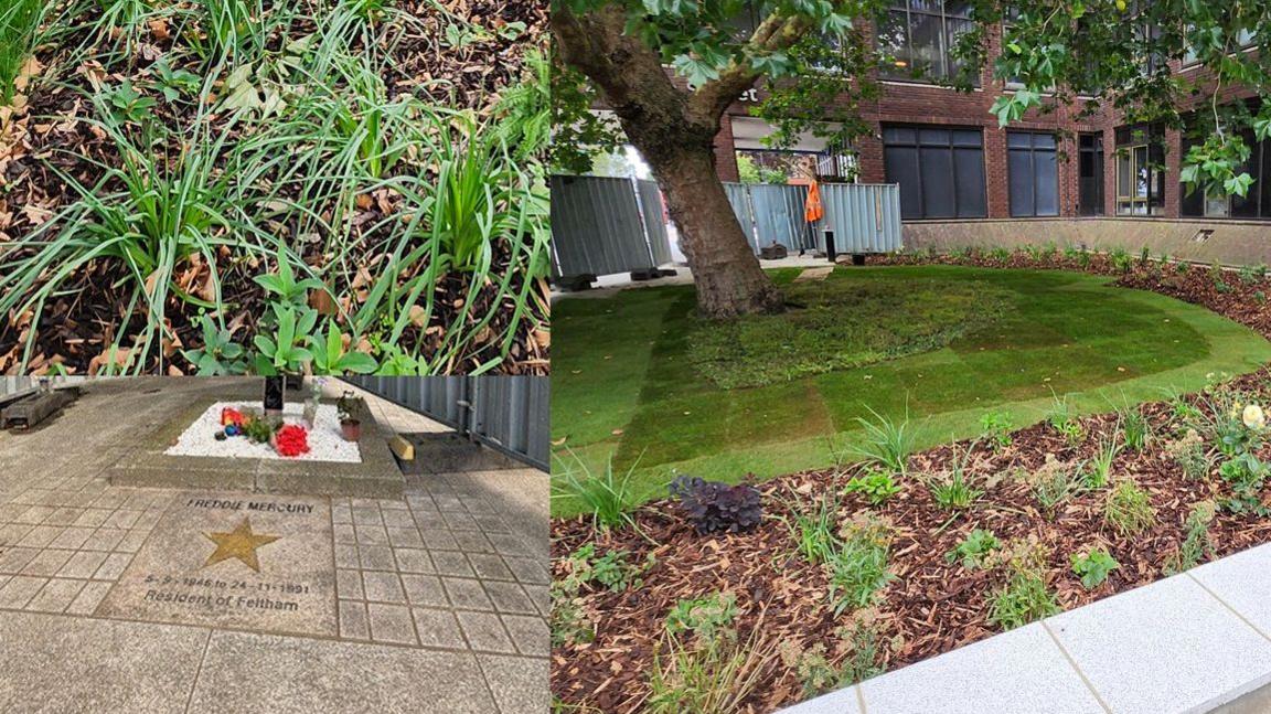 A composite image showing different areas of the gardens, including a Freddie Mercury star on the floor 