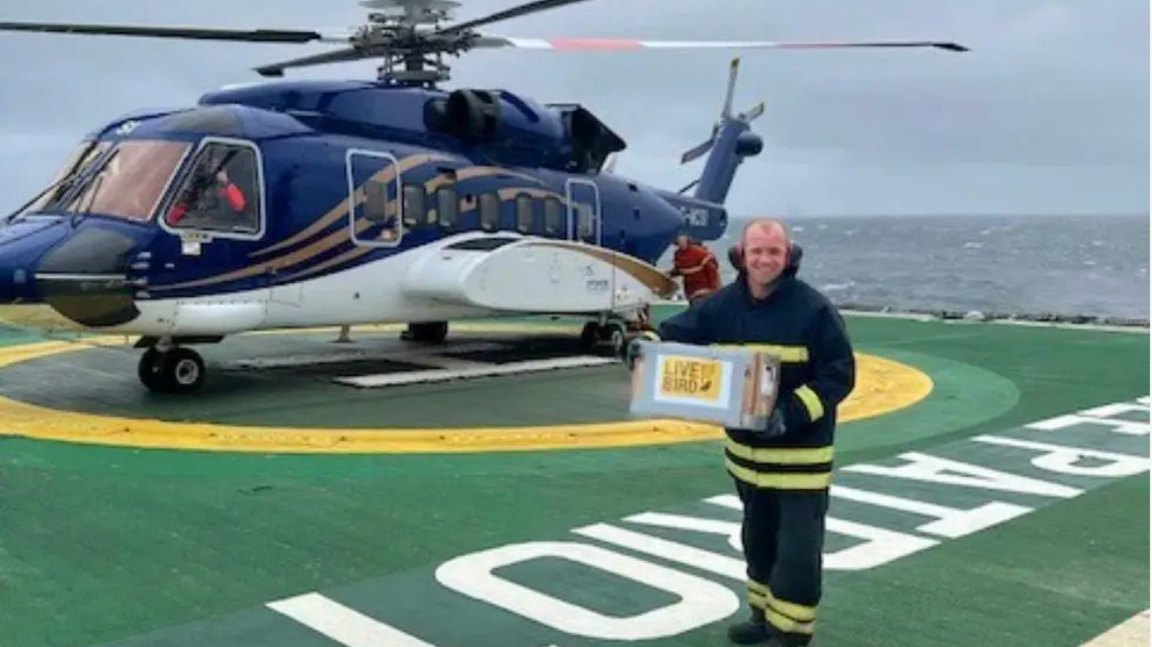 Helicopter and person holding the owl in a box