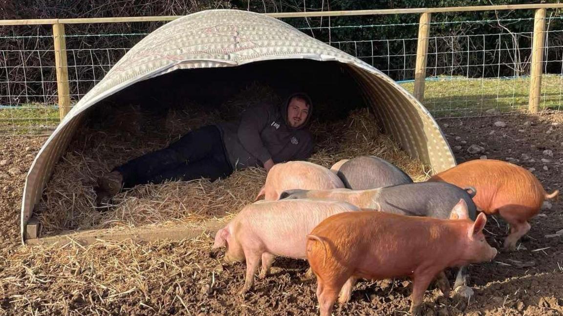 Liam is pictured here lying in his field with 6 grazing pigs