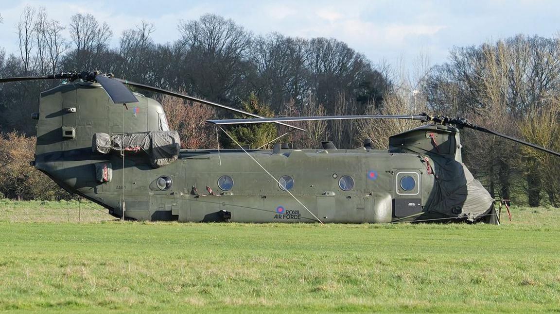 A large khaki green Chinook landed on a field in front of trees. It has RAF branding on its side and big, black rotor blades.