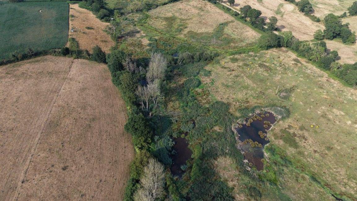 A drone shot of beaver land at the River Otter in Devon. 