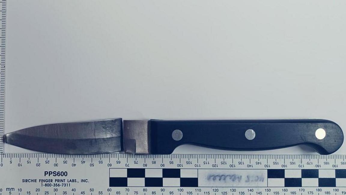 A black handled kitchen knife, the blade has been snapped away from the hilt but is placed above oit. Below is a ruler measuring the blade and handle to be 195cm long