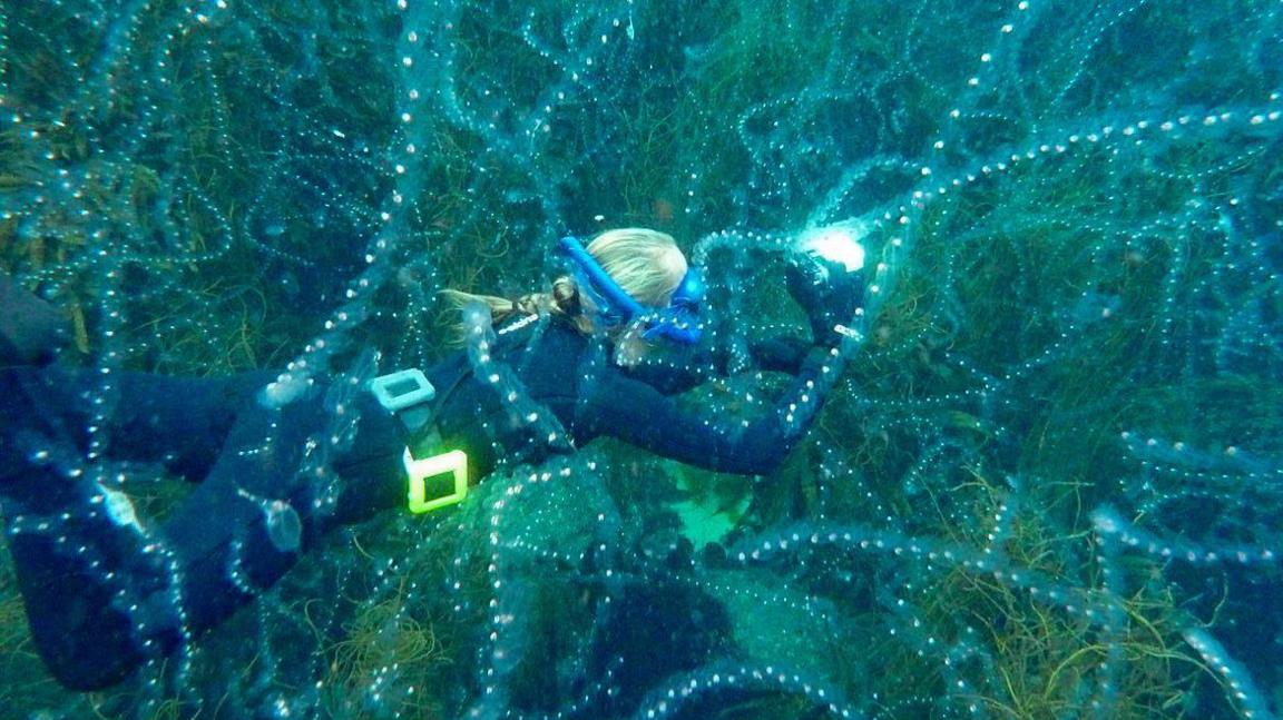 A blonde woman in a wet suit is swimming while holding a camera with light shining. Salps, which look a bit like a jellyfish, are surrounding her in all directions. Salps look like lines of see-through strips with fairy lights on them.